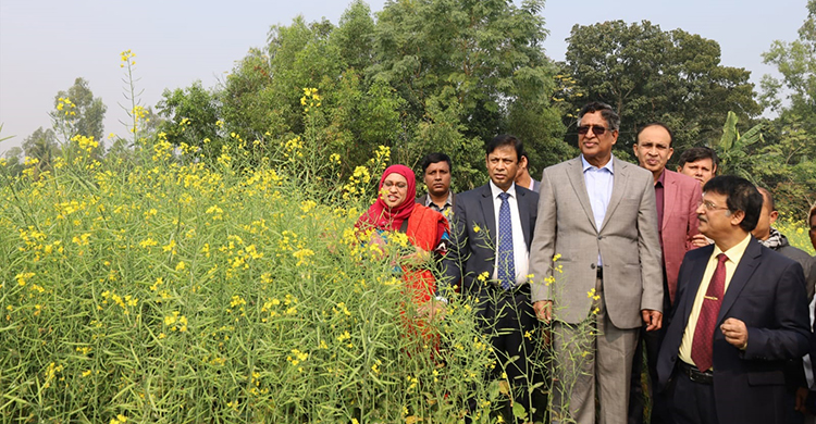 ভোজ্যতেল আমদানি নির্ভরতা কমাতে রোডম্যাপ